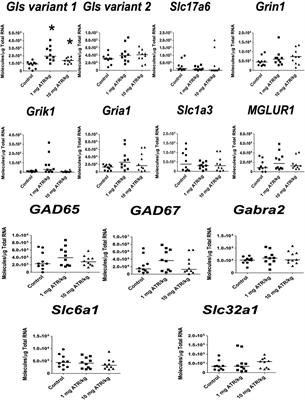 Chronic atrazine exposure increases the expression of genes associated with GABAergic and glutamatergic systems in the brain of male albino rat